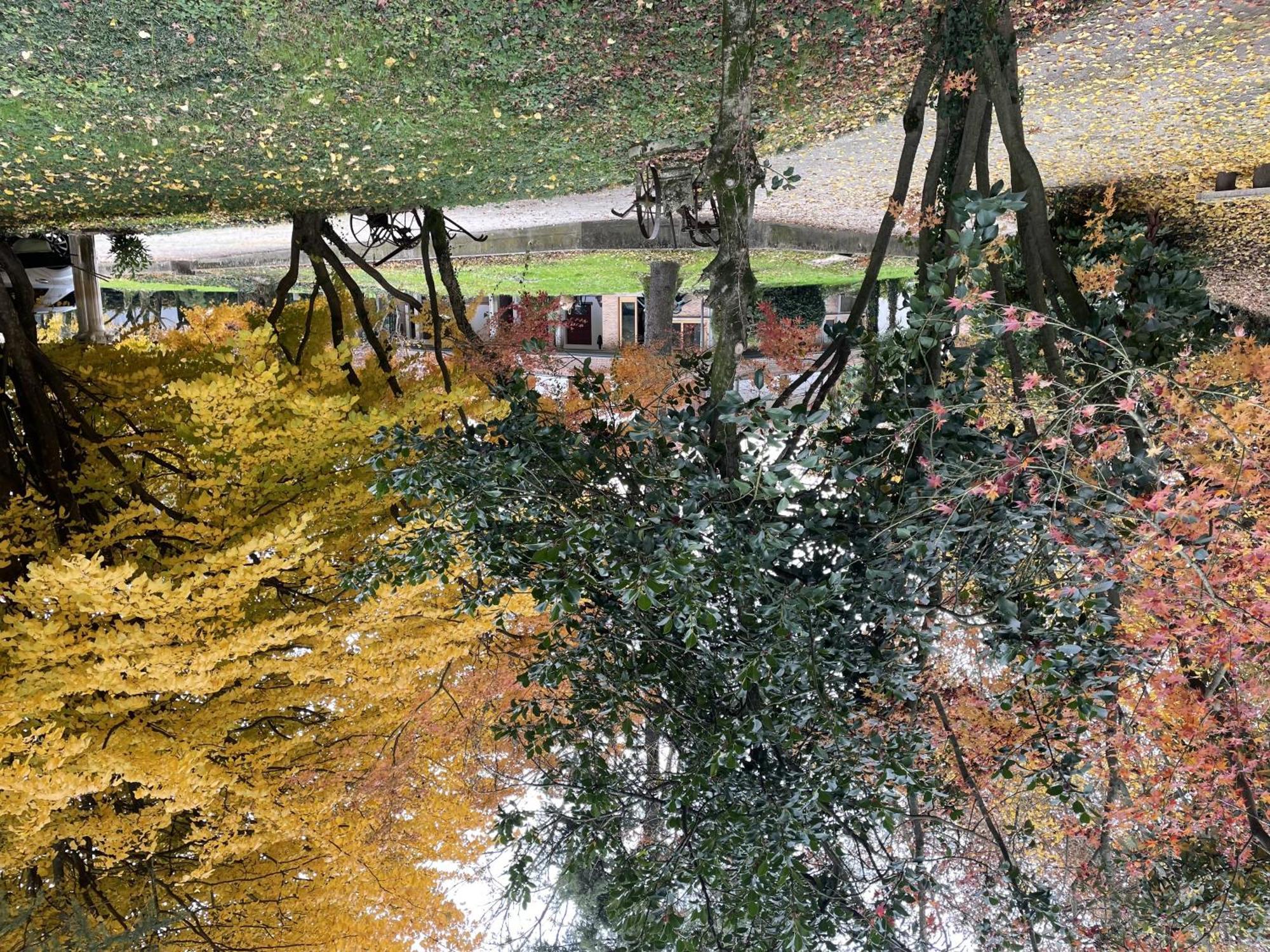 Campodarsego Padova Villetta Con Ampio Parco Privato מראה חיצוני תמונה